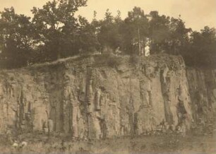 Oberlausitz. Schafberg bei Baruth. Basaltsäulen im südlichen Bruch. Verwittert