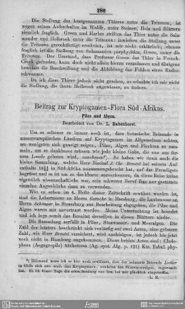Beitrag zur Kryptogamen-Flora Süd-Afrikas. Pilze und Algen