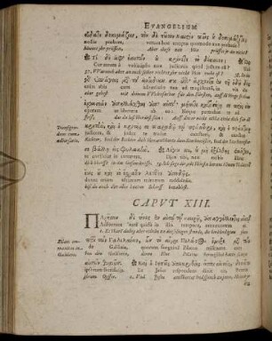 Caput XIII. [ - ] Caput XVI.