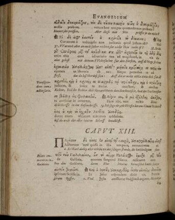 Caput XIII. [ - ] Caput XVI.