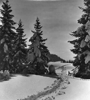 Spuren im Schnee