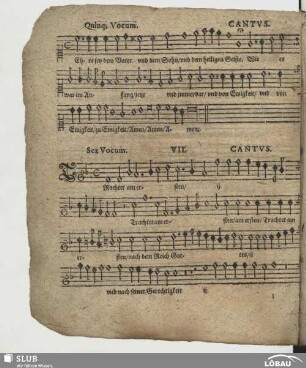 VII. Trachtet am ersten