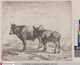 [The Ox an the Ass; Steer and Donkey; Le boeuf et l'ane; Ochse und Esel]