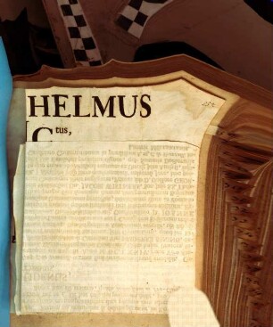 Dietericus Wilhelmus Matthiae, ICtus, Consiliarius Electoralis Moguntinus, Facultatis Iuridicae In Hac Alma p.t. Decanus. Lectori Salutem & Officia! : Publicatum sub sigillo Facultatis Iuridicae d. 13. (23.) Martii 1698.