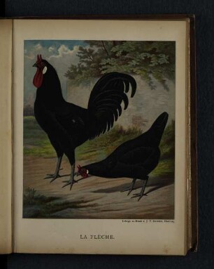 La Flèche.