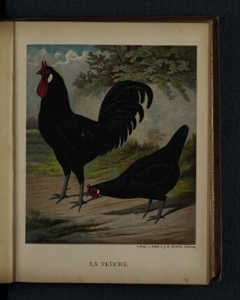 La Flèche.