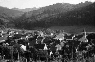 Sulzburg: Gesamtansicht vom Schlossberg; Ausschnitt der Stadt