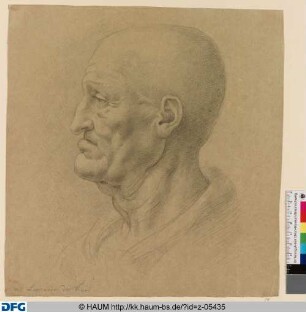 Profil eines alten Mannes