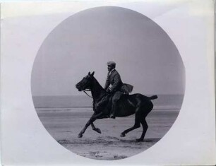 Pferd im Galopp