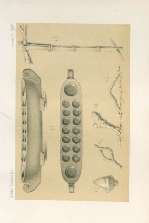 Pl. XXXV