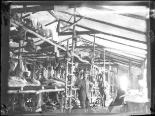 Kriegsaufnahmen 1915-1916