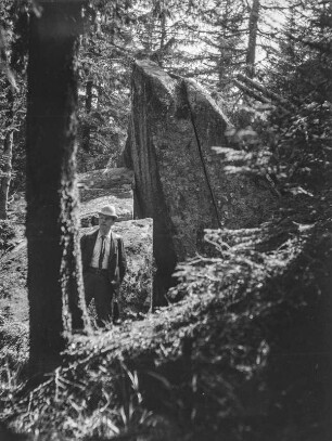 Felsen im Wald : Ein Mann steht vor Felsen in einem Wald