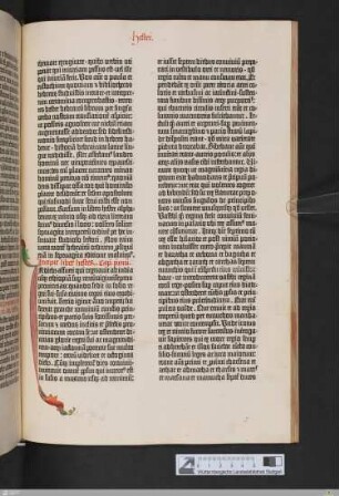 Liber Hester [= Esther]