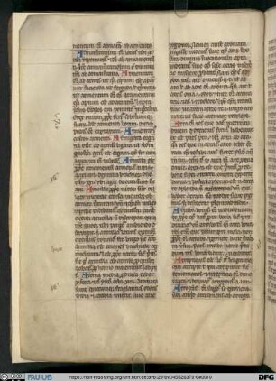 Guillelmi Britonis Vocabularium Biblicum - UER MS 80