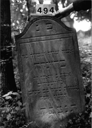Grabstein 494 (Index: 99803818) Material: Sandstein Zustand: gut Maße HxBxT: 110x56x11 cm Beschreibung: Stele mit Karniesbogen, profilierter Rand: Grabstein 494