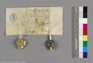 (Die Herzöge Albrecht II. und Johann I. von Mecklenburg)