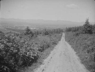 Toyohara-Ebene (Ebene bei Juschno-Sachalinsk) : Blick von Asahigaoka aus