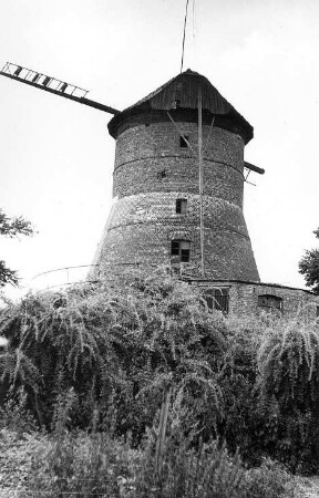 Baruth/Mark. Turmholländer