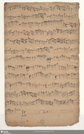 Violino 1mo
