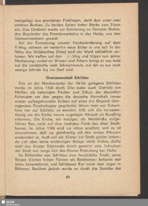Gneisenaustadt Schildau
