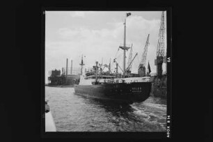 Adler (1950), Argo Reederei.- Argo Reederei Richard Adler & Söhne, Bremen