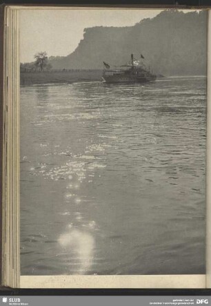 Elbdampfer