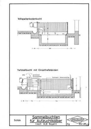 Sammelbuchten für Aufzuchtkälber