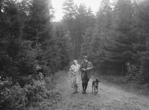 Waldspaziergang