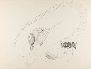 Bleistiftzeichnung ohne Titel (Studie mit Fisch und Ei)