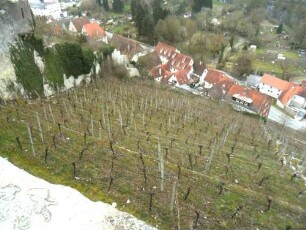 Stadtbild-Ansicht im Süden von Schloß Kaltenstein-Mühlgasse nach Osten mit Herrenalber Pfleghof im Westen sowie Gebäudebestand