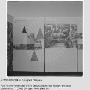 Hausausstellung - "Sozialistische Großproduktion"