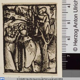 Zachäus auf dem Maulbeerbaum