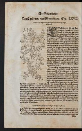 Von Egelkraut/ oder Pfennigkraut. Cap. LXVII.