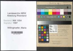 Entnazifizierung Maria Willinghoefer , geb. 02.02.1904 ()
