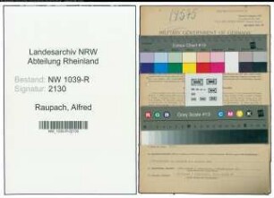 Entnazifizierung Alfred Raupach , geb. 03.02.1886 (Meister)