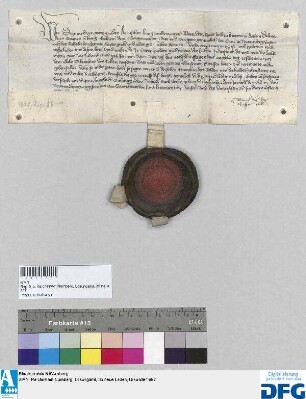 König Sigmund befiehlt der Stadt Nürnberg, dem Albrechten von Coldicz 200 fl. von der Judensteuer zu übergeben.