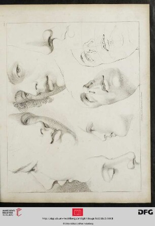 Plate 5. [Gesicht (Kontur-Schraffur; Linearkreuz)]