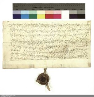 Revers Adam Wiegands bezüglich der Belehnung mit einem Haus in Fulda und weiteren im einzelnen aufgeführten Lehen durch Balthasar [von Dernbach], Abt von Fulda