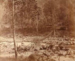Himalaya. Hängebrücke auf dem Weg nach Dardschiling