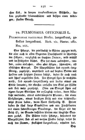 72. Pulmonaria officinalis L.