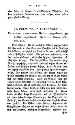 72. Pulmonaria officinalis L.