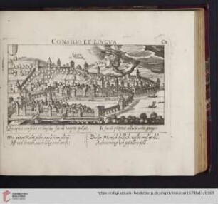 C81. Lucern in Ochschweitz, "Consilio et lingua"