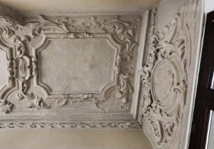 Stuckdecke mit Akanthus- und Blumenranken und Putto