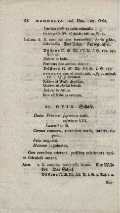 27. OVIS
