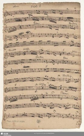 Viol[ino]: 1.