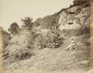 Mittelgrundstudie: Felsen und Terrain: Felsengruppe mit Brombeerhecken