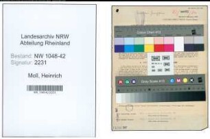 Entnazifizierung Heinrich Moll , geb. 16.02.1893 (Lackierer)