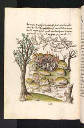 Die Raben legen Feuer vor der Höhle der Aare;(Kapitel V: Von den Raben und den Aaren).