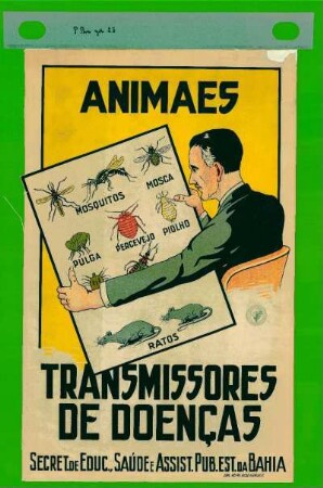 Animaes : transmissores de doenças ; mosquitos, mosca, pulga, percevejo, piolho, ratos