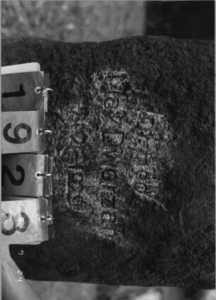 Grabstein 1928 [Hahn S. 57 Grab-Nr. 2817]: Grabstein 1923 (Detailaufnahme)[Hahn S. 57 Grab-Nr. 2817]